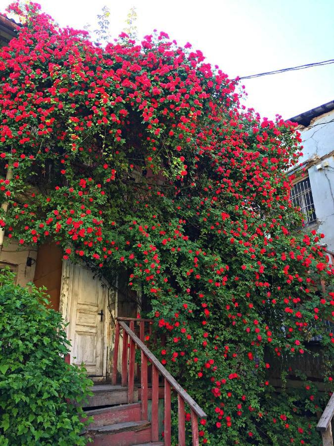 Apartment In Cozy Little Yard Tbilisi Luaran gambar